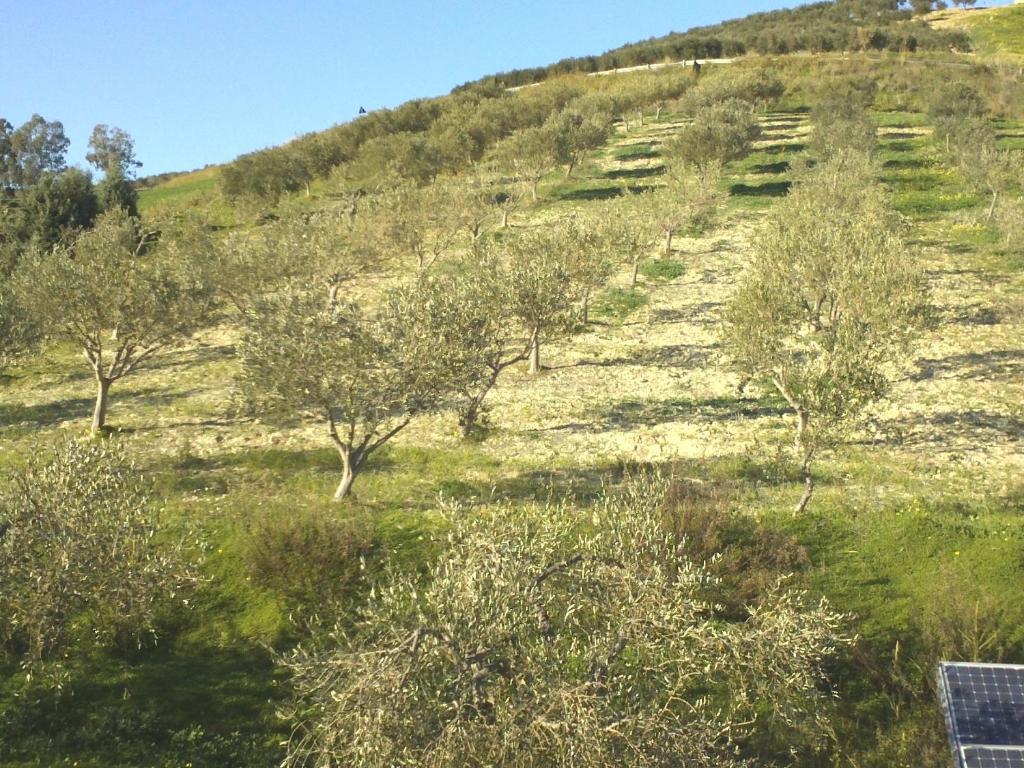 Agriturismo Due Ganee Villa Agrigento Exterior photo